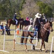 Horses - Friday