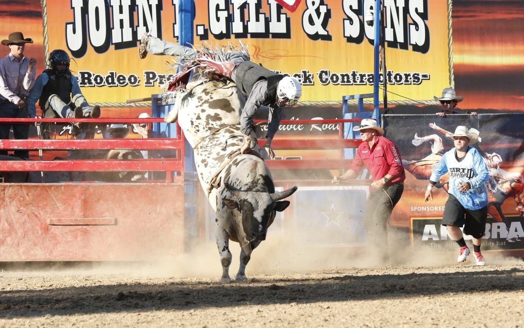 Bull Riding – Rodeo