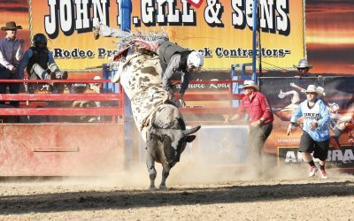 Bull Riding – Rodeo